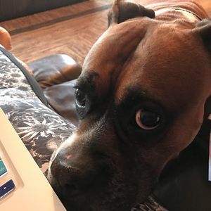 Meet your Posher, Tawanda